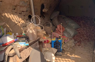 d88尊龙z6(中国区)大康健有限公司-官方网站