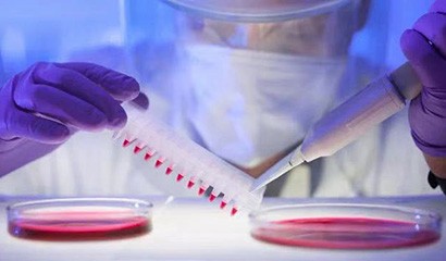 d88尊龙z6(中国区)大康健有限公司-官方网站