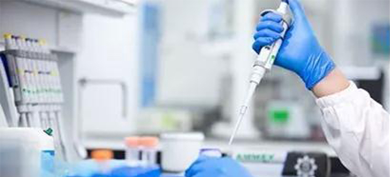 d88尊龙z6(中国区)大康健有限公司-官方网站