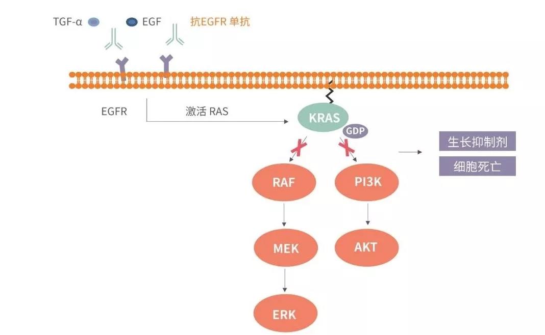 d88尊龙z6(中国区)大康健有限公司-官方网站
