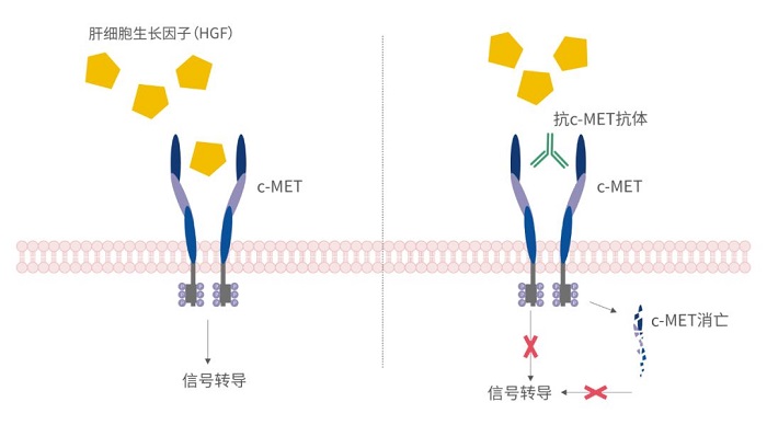 d88尊龙z6(中国区)大康健有限公司-官方网站