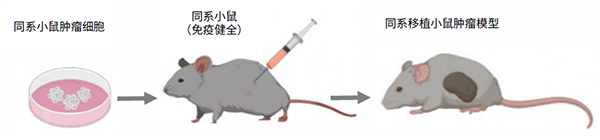 d88尊龙z6(中国区)大康健有限公司-官方网站