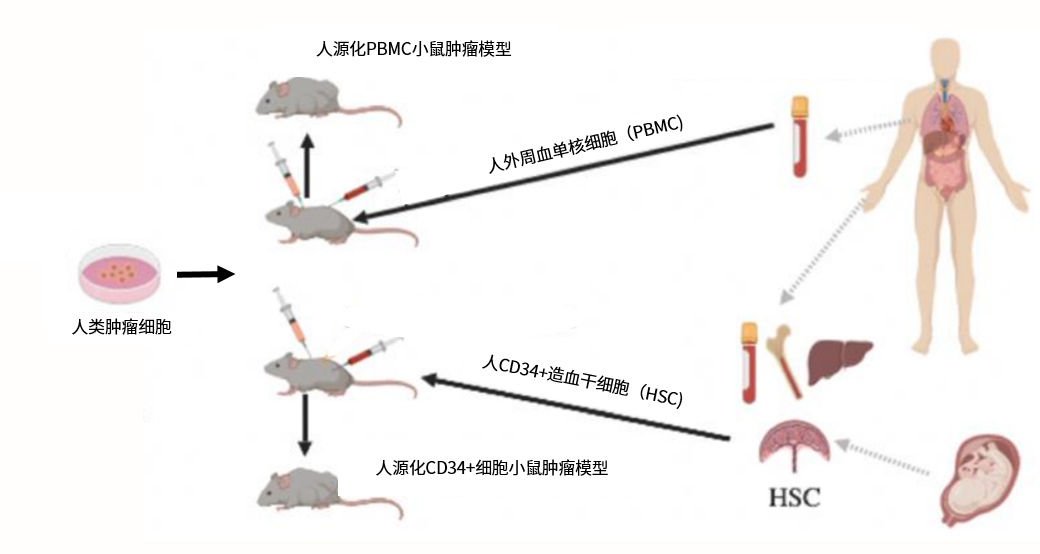 d88尊龙z6(中国区)大康健有限公司-官方网站