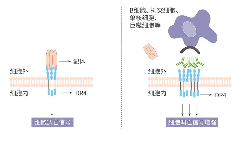 d88尊龙z6(中国区)大康健有限公司-官方网站