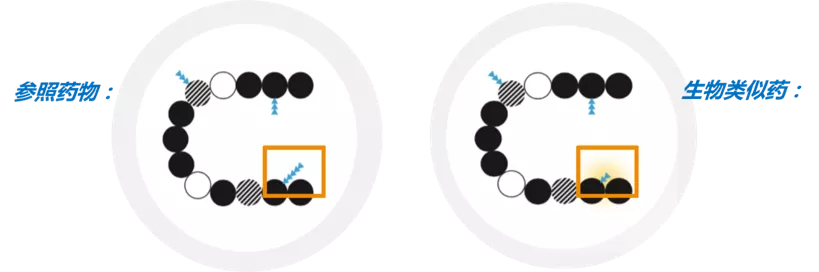 d88尊龙z6(中国区)大康健有限公司-官方网站