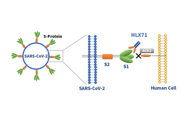 d88尊龙z6(中国区)大康健有限公司-官方网站