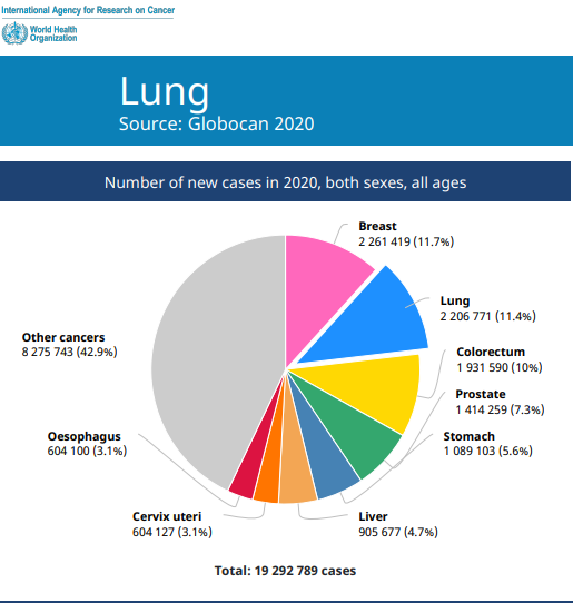 d88尊龙z6(中国区)大康健有限公司-官方网站