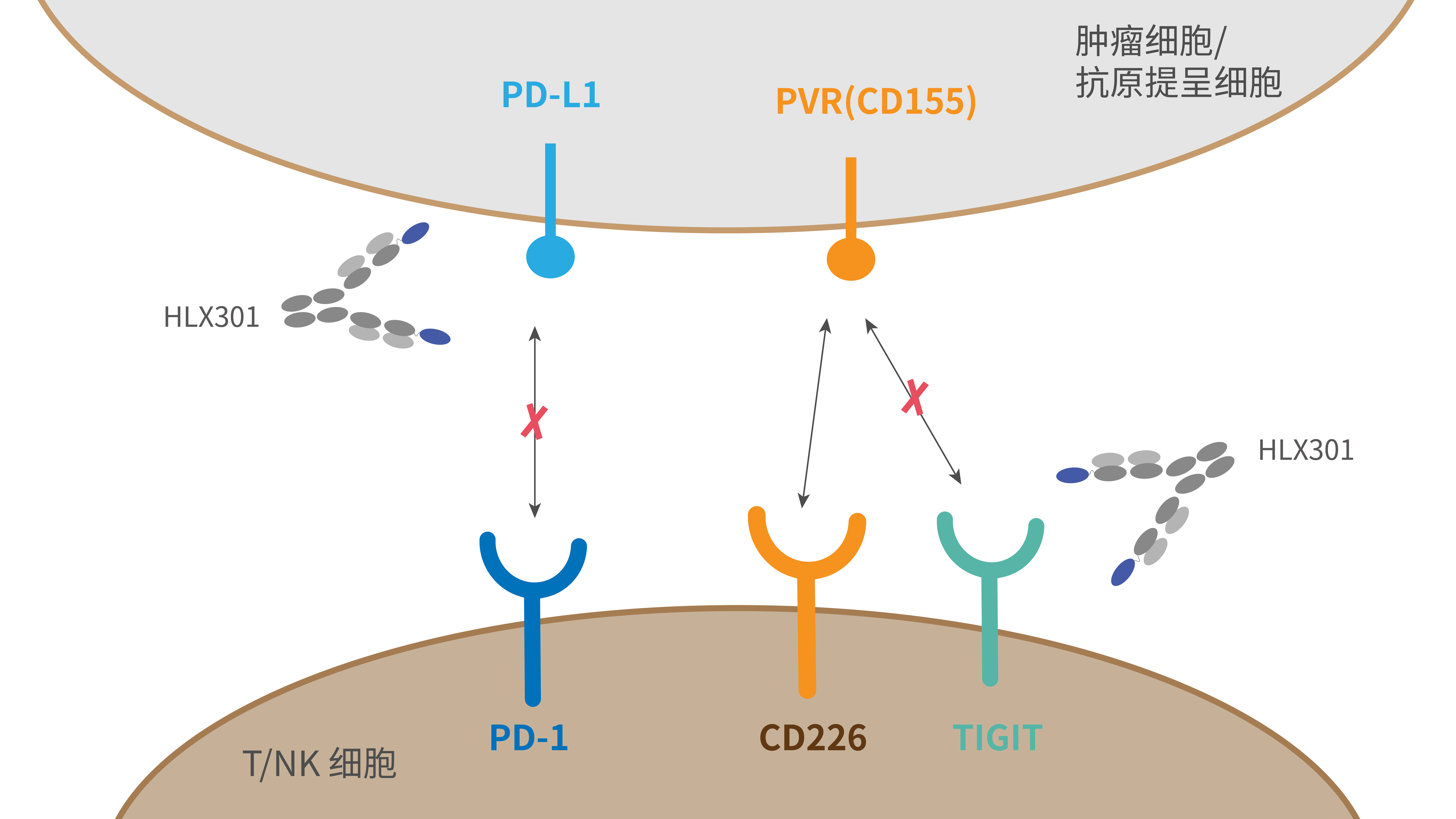 d88尊龙z6(中国区)大康健有限公司-官方网站
