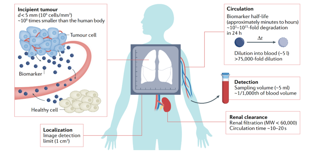 d88尊龙z6(中国区)大康健有限公司-官方网站