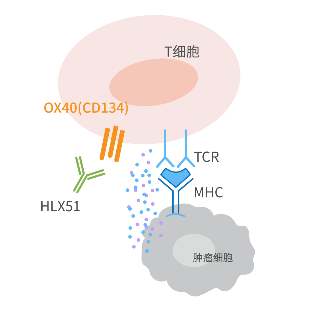 d88尊龙z6(中国区)大康健有限公司-官方网站