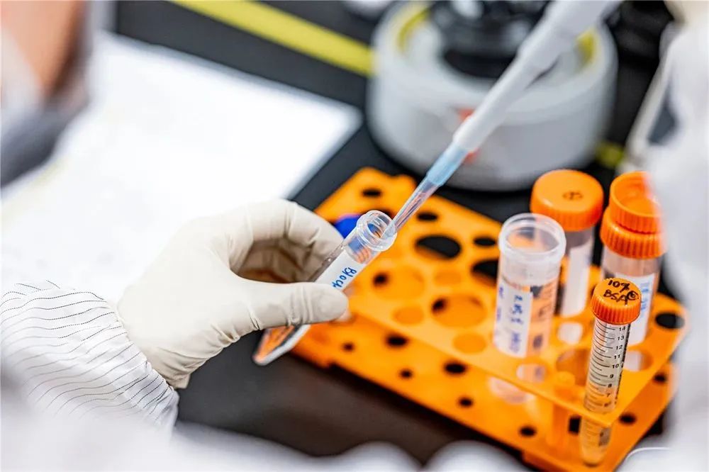 d88尊龙z6(中国区)大康健有限公司-官方网站