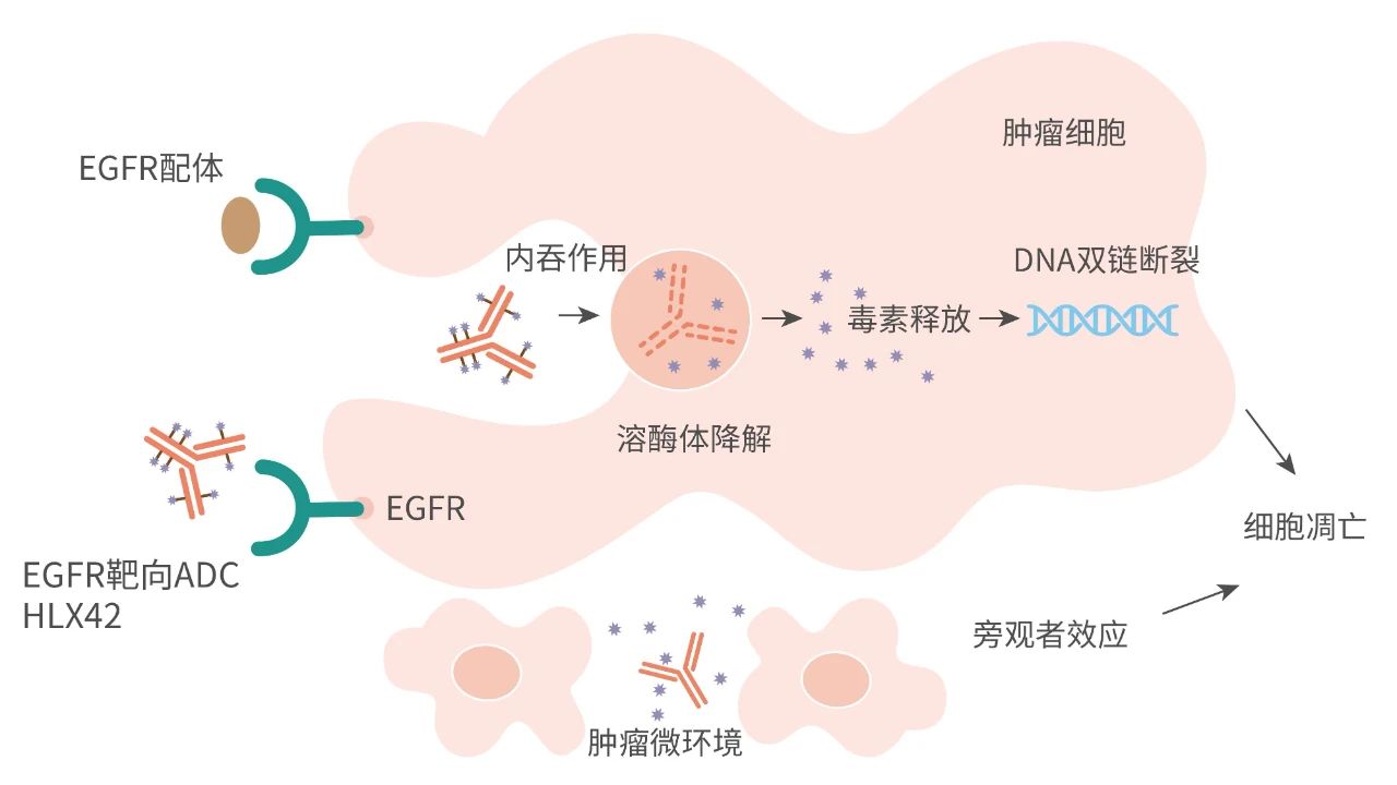 d88尊龙z6(中国区)大康健有限公司-官方网站