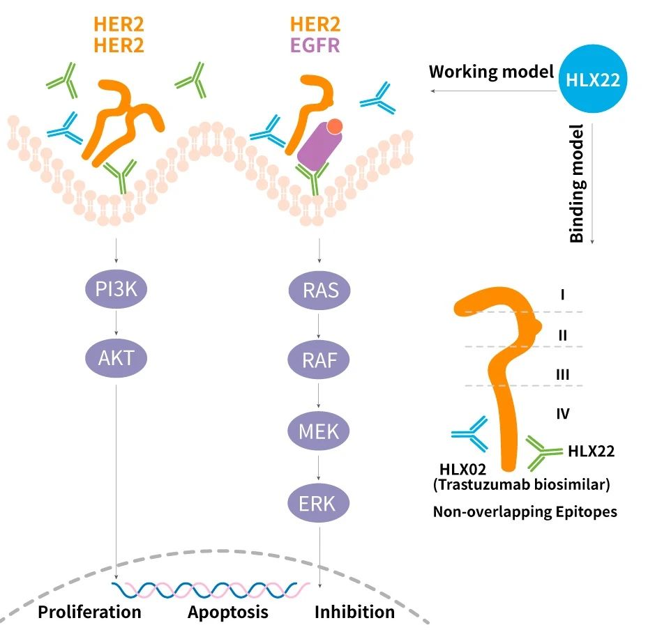 d88尊龙z6(中国区)大康健有限公司-官方网站