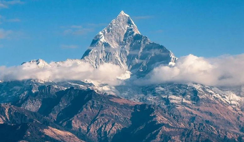 d88尊龙z6(中国区)大康健有限公司-官方网站