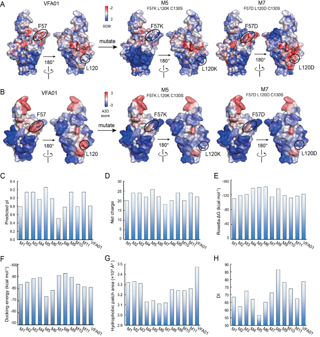 d88尊龙z6(中国区)大康健有限公司-官方网站