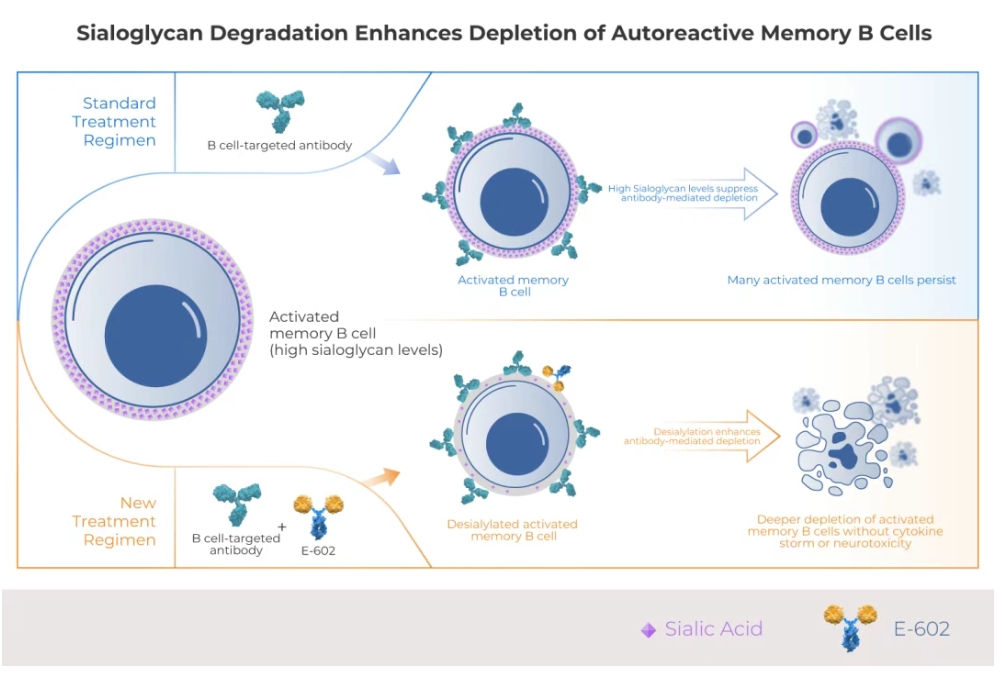 d88尊龙z6(中国区)大康健有限公司-官方网站