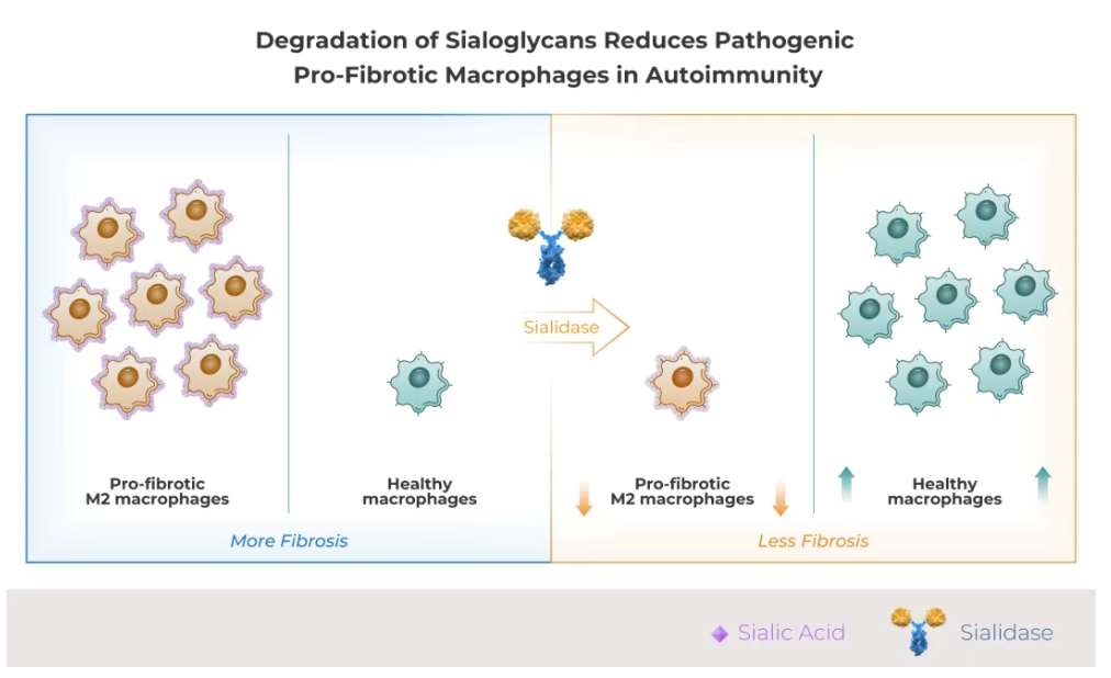d88尊龙z6(中国区)大康健有限公司-官方网站