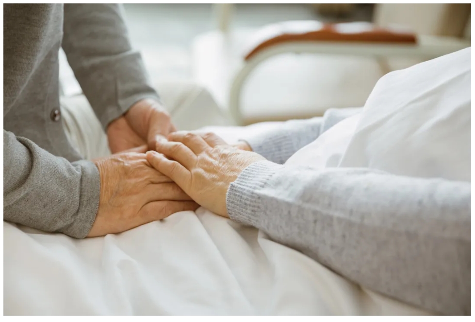 d88尊龙z6(中国区)大康健有限公司-官方网站