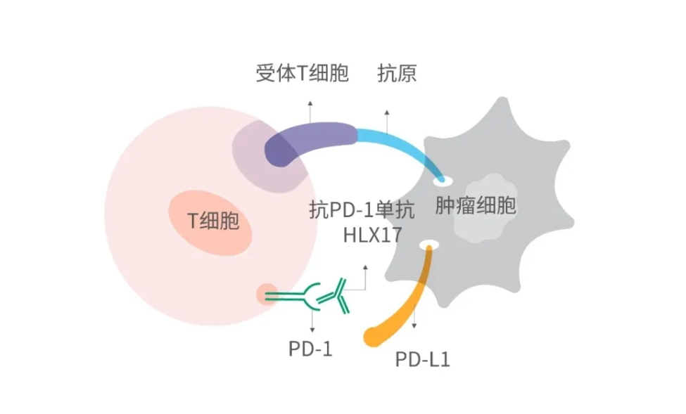 d88尊龙z6(中国区)大康健有限公司-官方网站